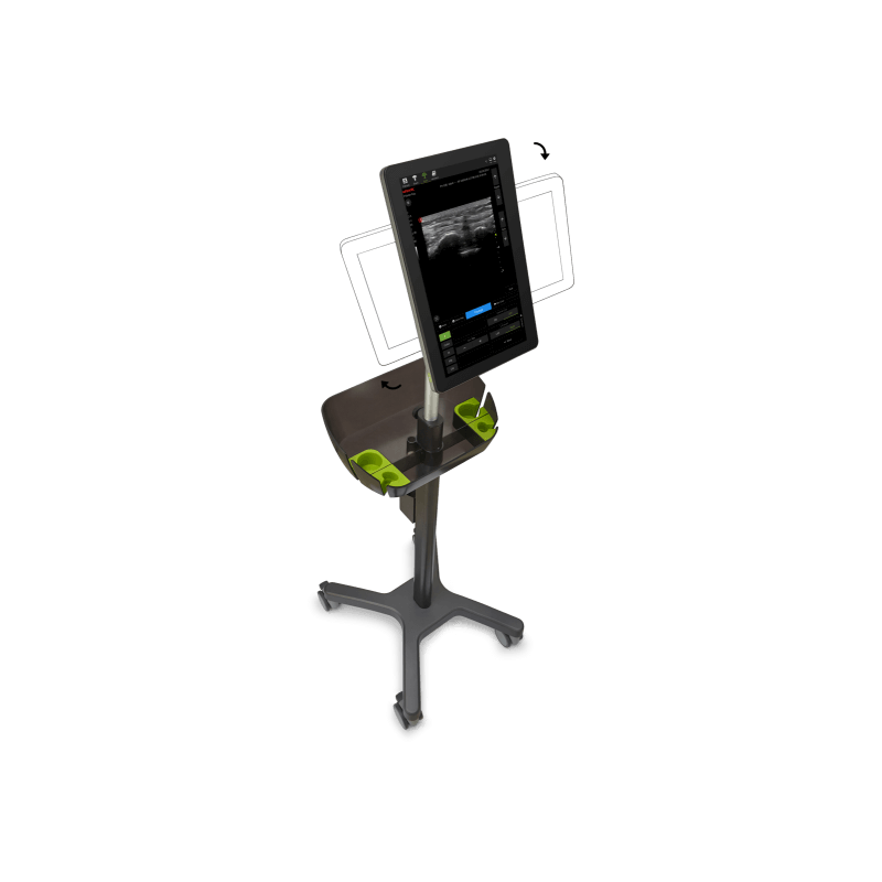 Aparat USG Piloter Vet mobilny - Wisonic