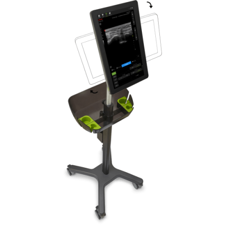 Aparat USG Piloter Vet mobilny - Wisonic