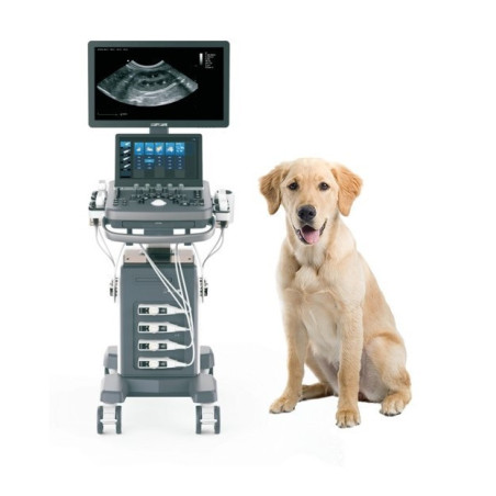 Aparat USG weterynaryjny VU40 Color Doppler - Zoncare