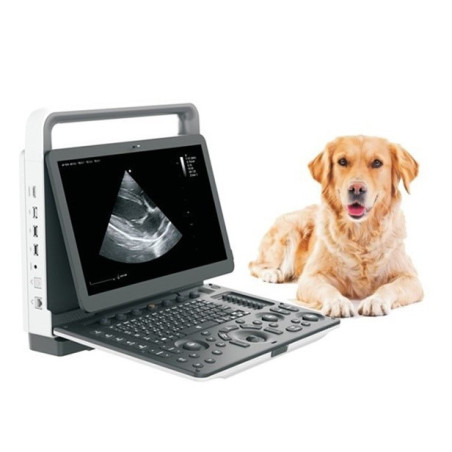 Aparat USG weterynaryjny przenośny VU3EXP Color Doppler - Zoncare