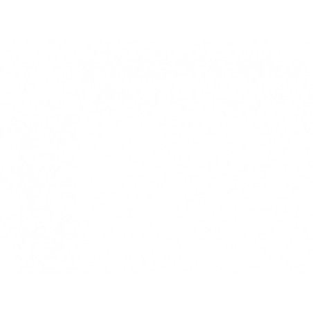 Aparat do elektroterapii SENS-Z wersja gabinetowa - Zerone